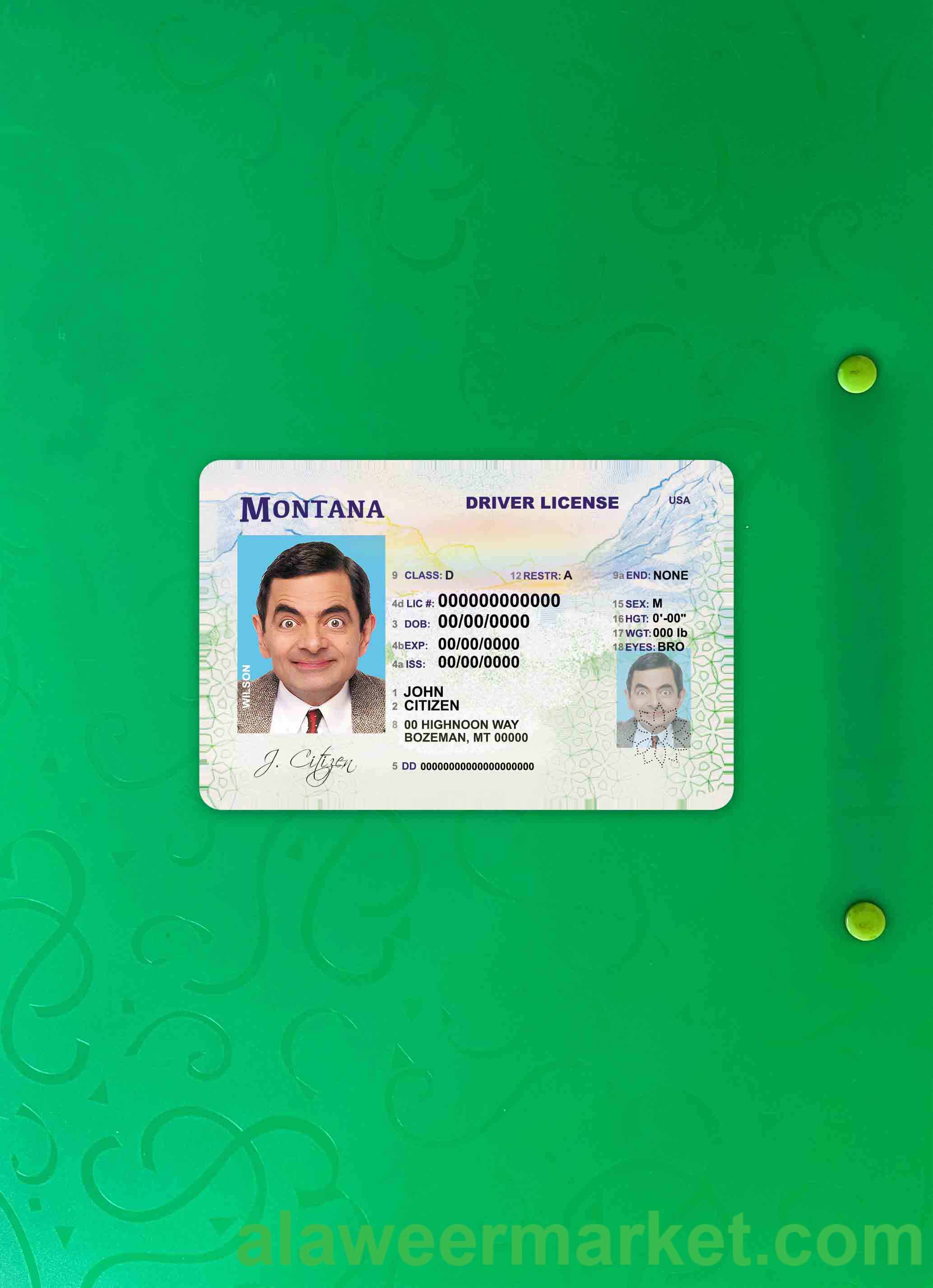 USA Montana DL photolook FRONT
